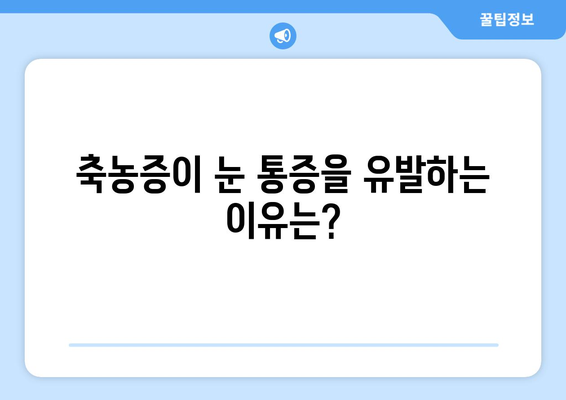 축농증과 눈통증, 직접적인 원인은 무엇일까요? | 원인 분석 및 해결 방안