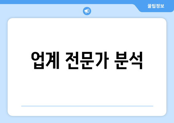 업계 전문가 분석