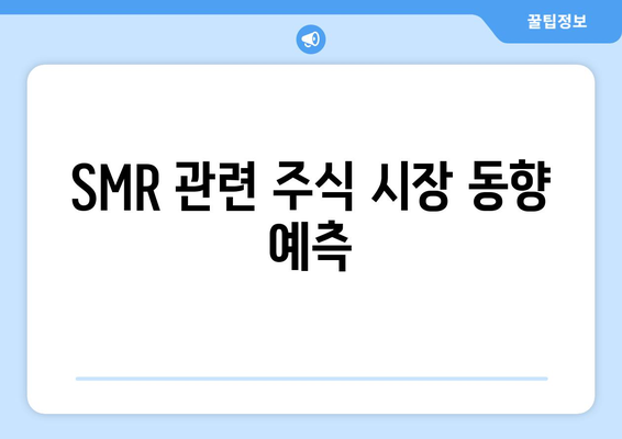 SMR 관련 주식 시장 동향 예측