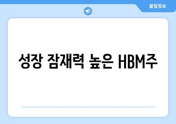 성장 잠재력 높은 HBM주