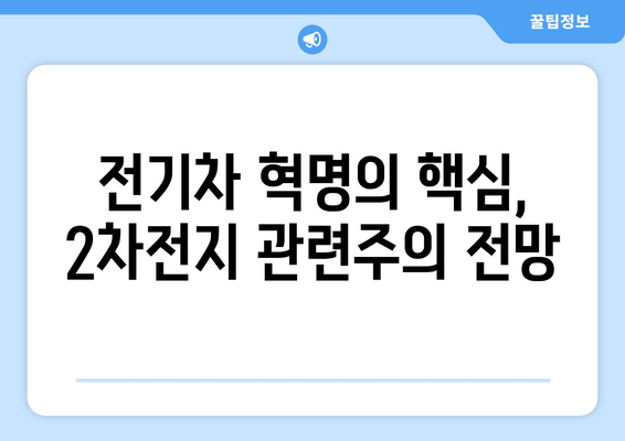 전기차 혁명의 핵심, 2차전지 관련주의 전망