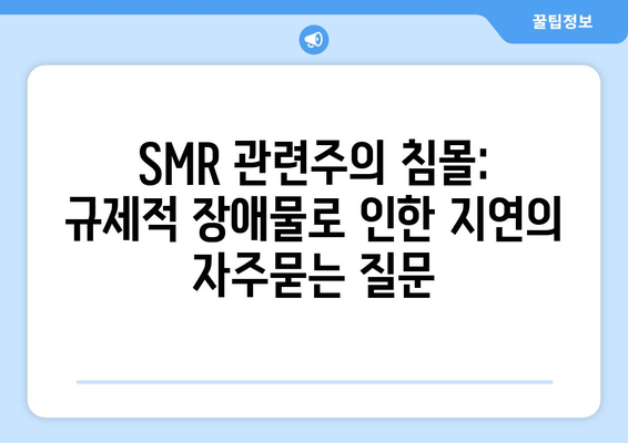 SMR 관련주의 침몰: 규제적 장애물로 인한 지연