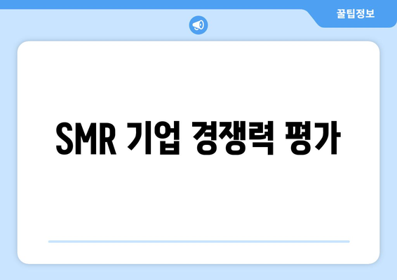 SMR 기업 경쟁력 평가