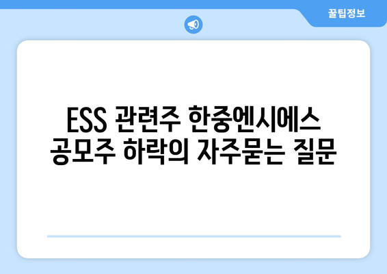 ESS 관련주 한중엔시에스 공모주 하락