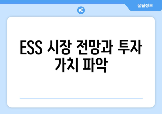 ESS 시장 전망과 투자 가치 파악