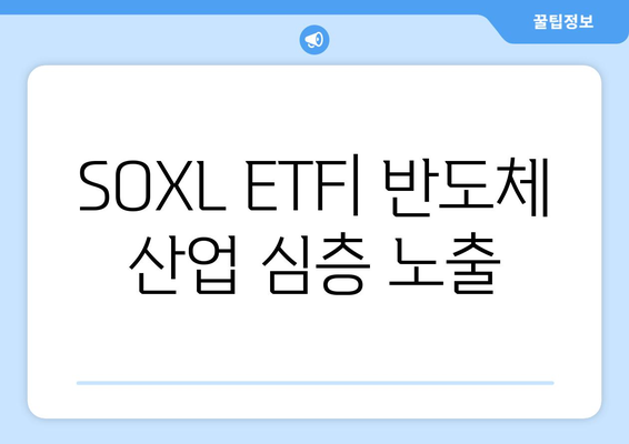 SOXL ETF| 반도체 산업 심층 노출