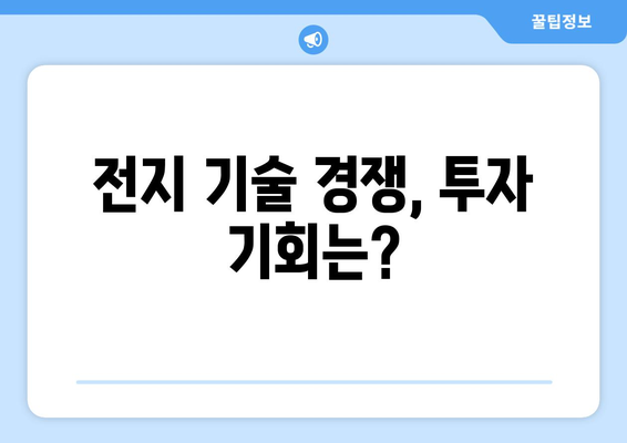 전지 기술 경쟁, 투자 기회는?