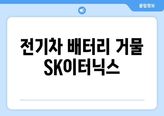 전기차 배터리 거물 SK이터닉스