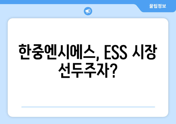 한중엔시에스, ESS 시장 선두주자?