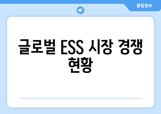 글로벌 ESS 시장 경쟁 현황