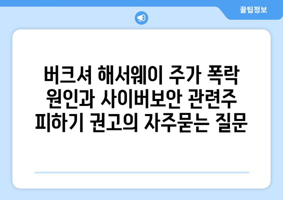 버크셔 해서웨이 주가 폭락 원인과 사이버보안 관련주 피하기 권고