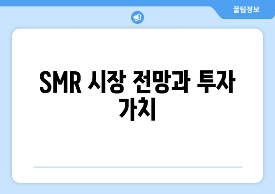 SMR 시장 전망과 투자 가치