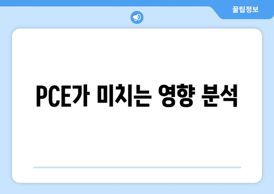 PCE가 미치는 영향 분석