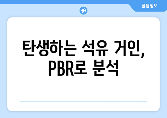 탄생하는 석유 거인, PBR로 분석