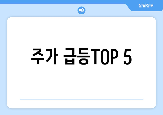 주가 급등TOP 5