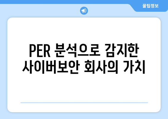 PER 분석으로 감지한 사이버보안 회사의 가치