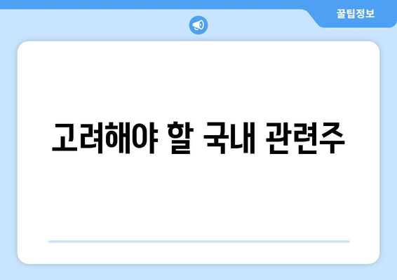 고려해야 할 국내 관련주