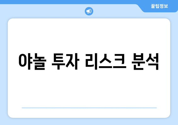 야놀 투자 리스크 분석