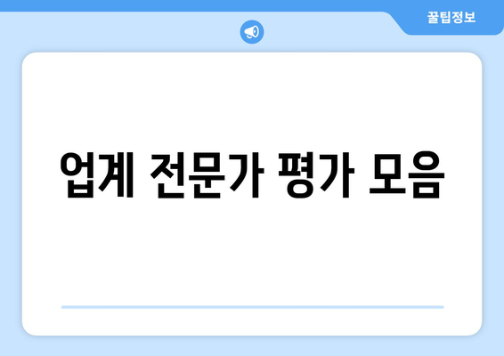 업계 전문가 평가 모음