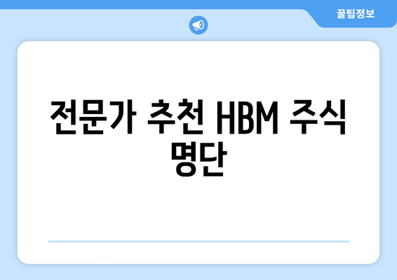 전문가 추천 HBM 주식 명단