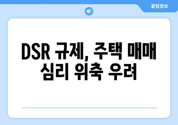 DSR 규제, 주택 매매 심리 위축 우려