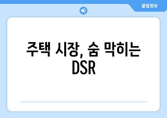 주택 시장, 숨 막히는 DSR