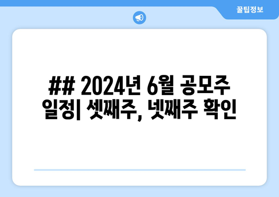 ## 2024년 6월 공모주 일정| 셋째주, 넷째주 확인