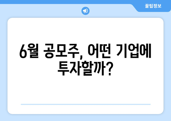 6월 공모주, 어떤 기업에 투자할까?