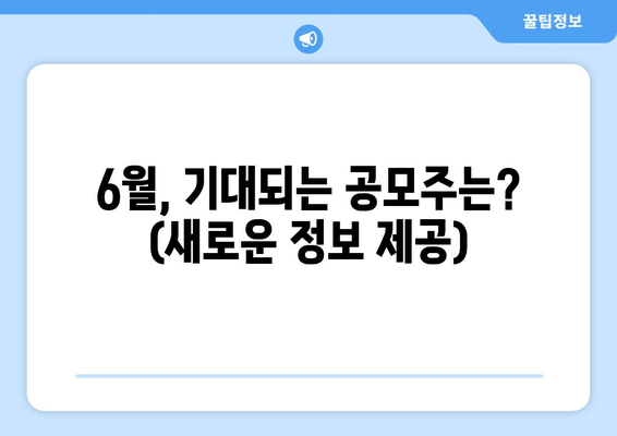 6월, 기대되는 공모주는? (새로운 정보 제공)