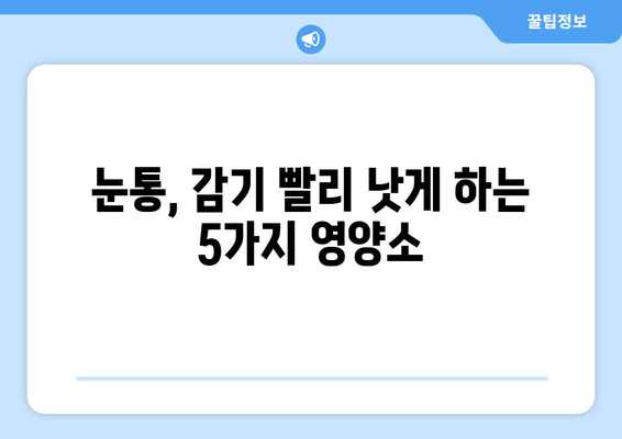 눈통과 감기를 빠르게 이겨내는 5가지 식단 팁 | 눈통, 감기, 면역력 강화, 건강 식단