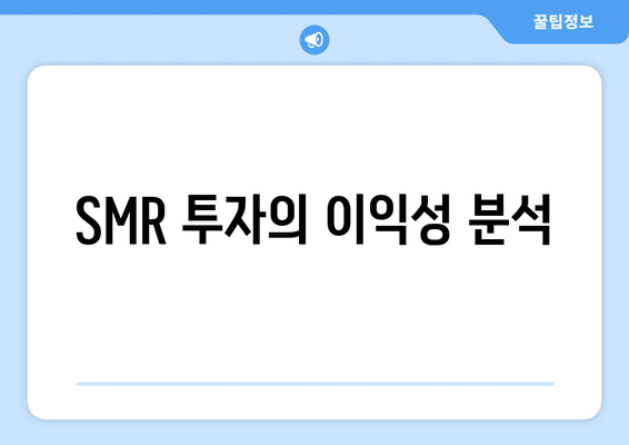 SMR 투자의 이익성 분석