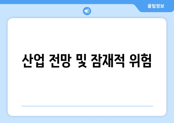 산업 전망 및 잠재적 위험