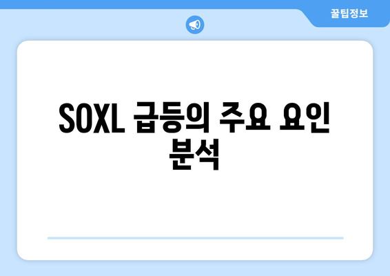 SOXL 급등의 주요 요인 분석