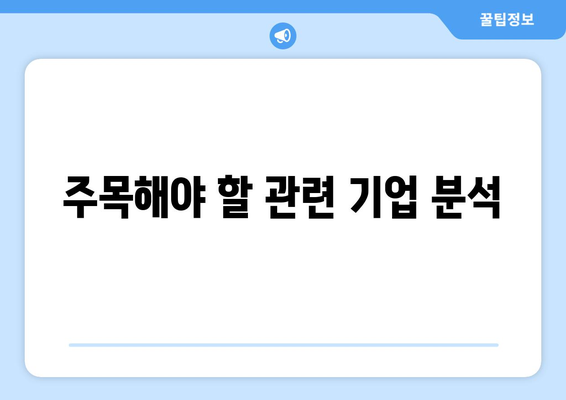 주목해야 할 관련 기업 분석