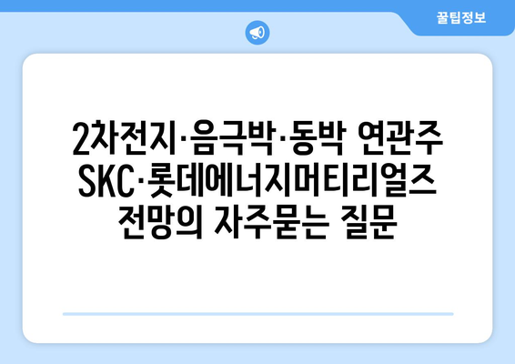 2차전지·음극박·동박 연관주 SKC·롯데에너지머티리얼즈 전망