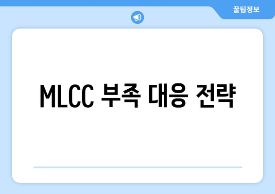 MLCC 부족 대응 전략