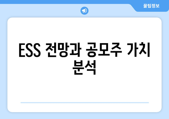 ESS 전망과 공모주 가치 분석