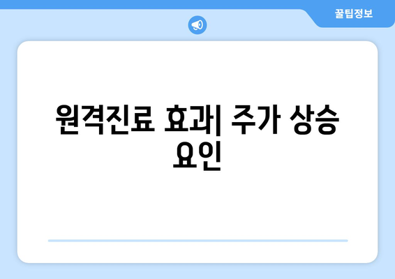 원격진료 효과| 주가 상승 요인