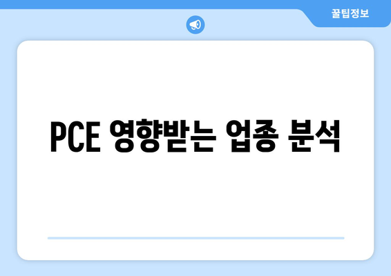 PCE 영향받는 업종 분석