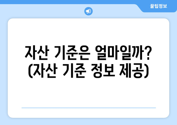 자산 기준은 얼마일까? (자산 기준 정보 제공)