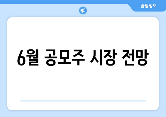 6월 공모주 시장 전망