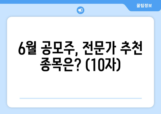 6월 공모주, 전문가 추천 종목은? (10자)