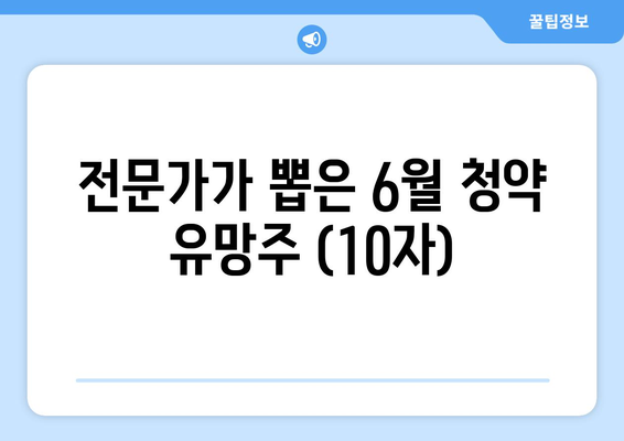 전문가가 뽑은 6월 청약 유망주 (10자)