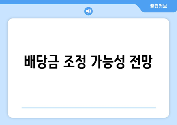 배당금 조정 가능성 전망