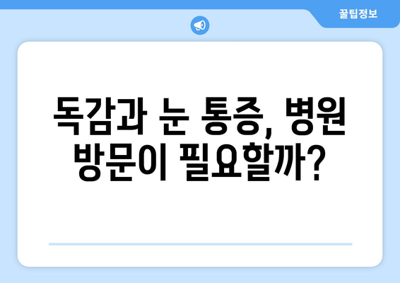 독감과 눈통증| 응급 상황을 알아야 할 때 | 독감 증상, 눈 통증, 응급처치, 의료 상담