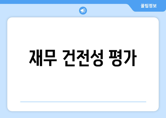 재무 건전성 평가