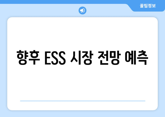 향후 ESS 시장 전망 예측