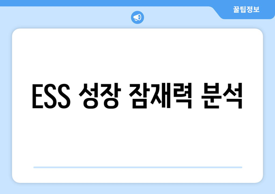 ESS 성장 잠재력 분석