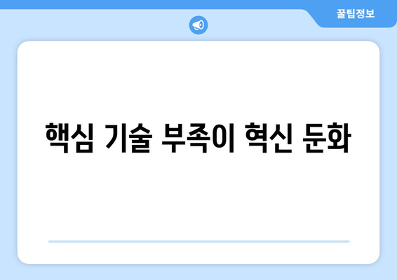 핵심 기술 부족이 혁신 둔화