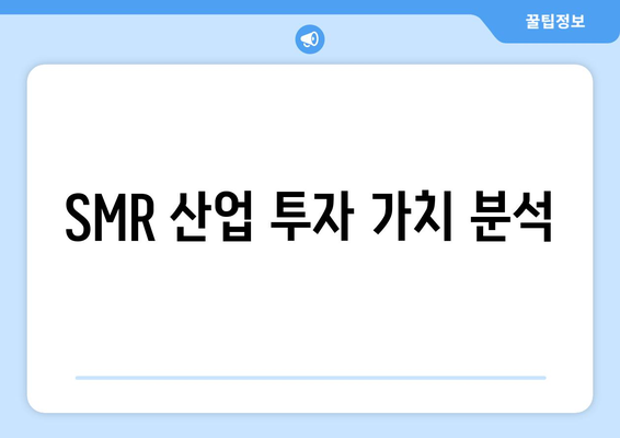 SMR 산업 투자 가치 분석